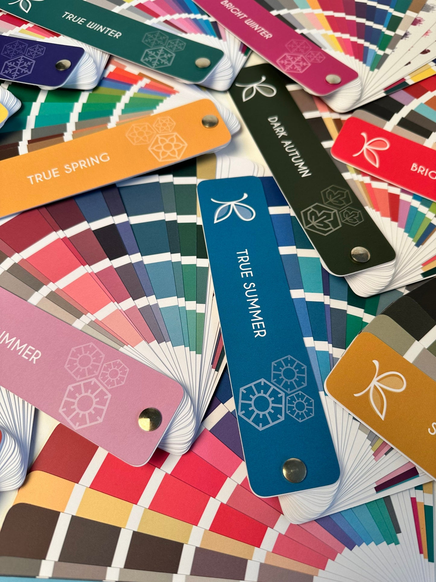 LIGHT Spring Colour Palette – 12 Season Colour Analysis Fan by Kelly Tavora.