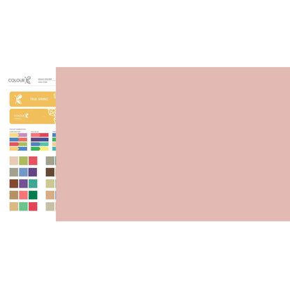 TRUE / WARM Spring DIGITAL colour palette